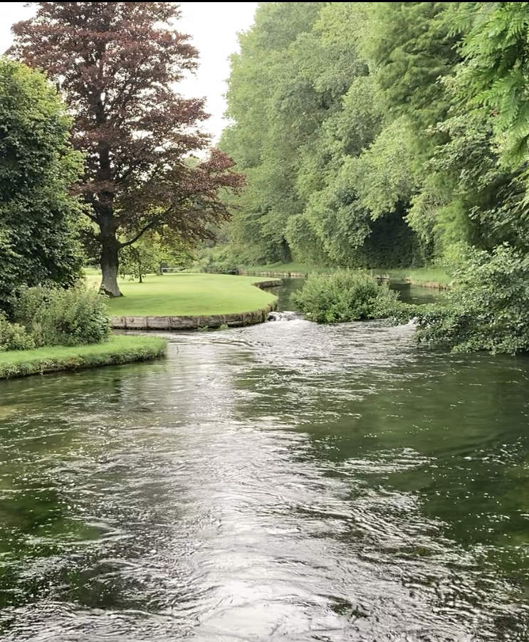 A river following directly in the hampshire countryside, the river is flanked by green trees and grass.