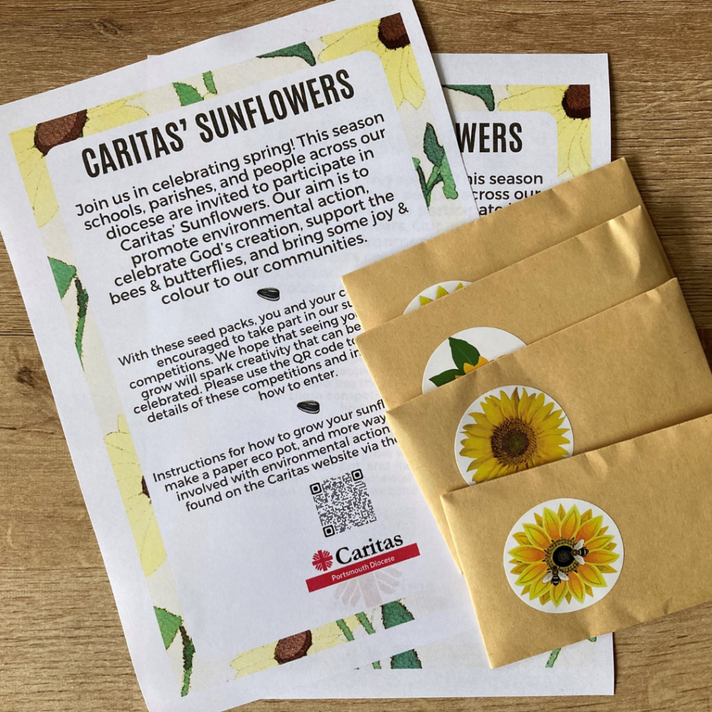 2 flyers on a table with title Caritas' Sunflowers and 4 brown paper envelopes with small round stickers with a picture of sunflower on them.