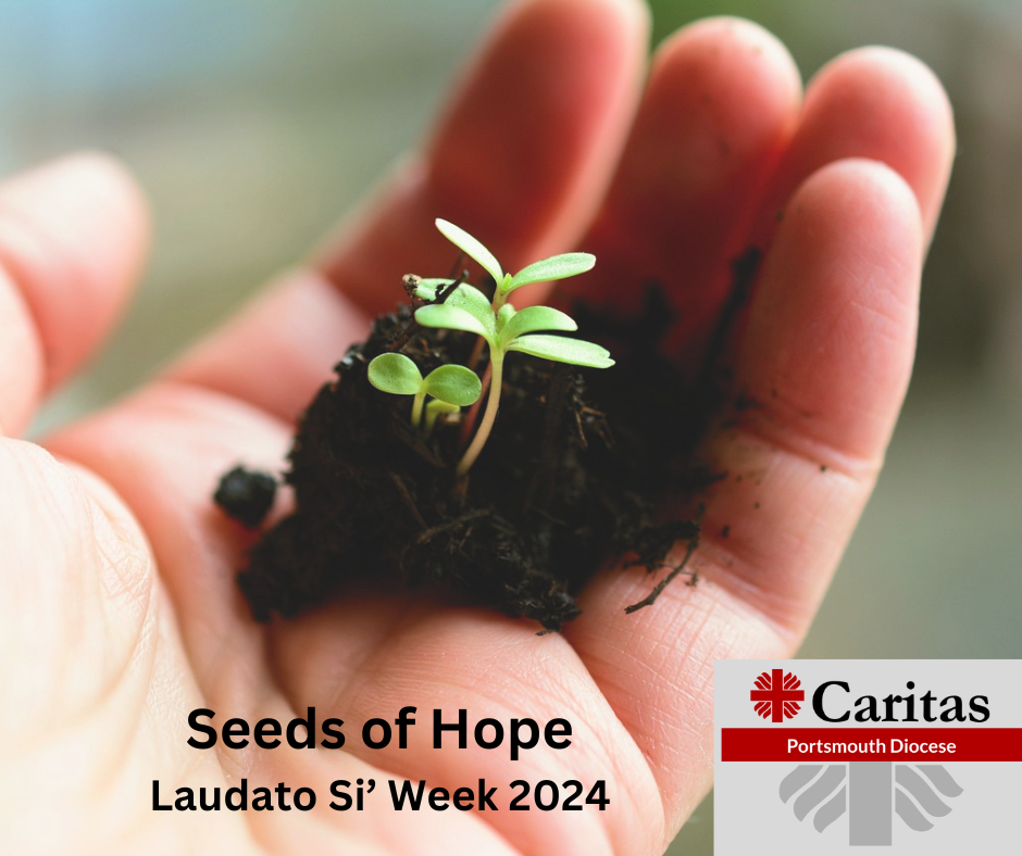 hand holding some earth with a couple of newly germinated seeds. The text says Seeds of Hope, Laudato Si' week 2024